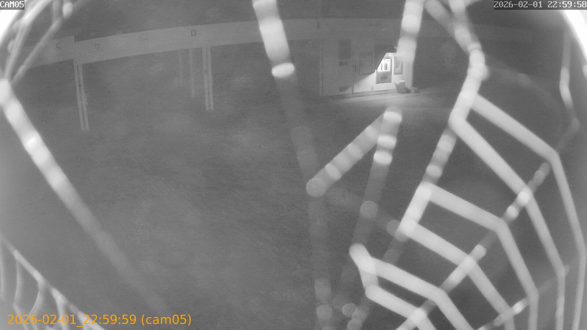 thumbnail_202602012259