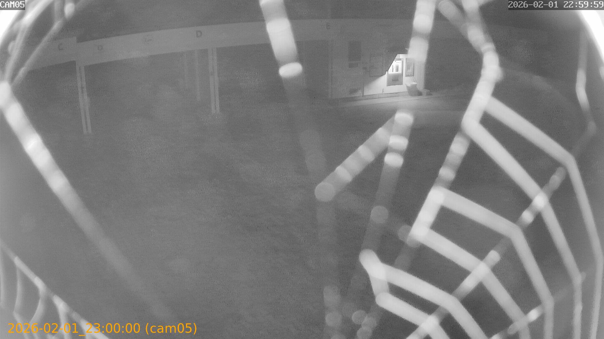 thumbnail_20260201230000