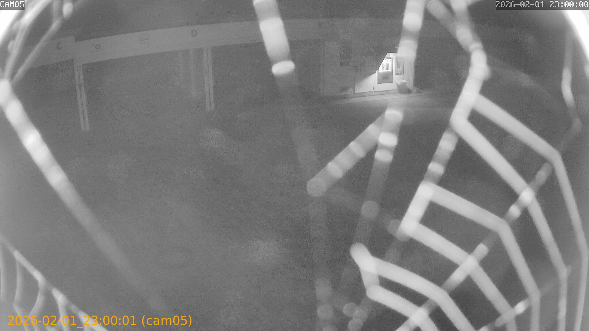 thumbnail_20260201230001