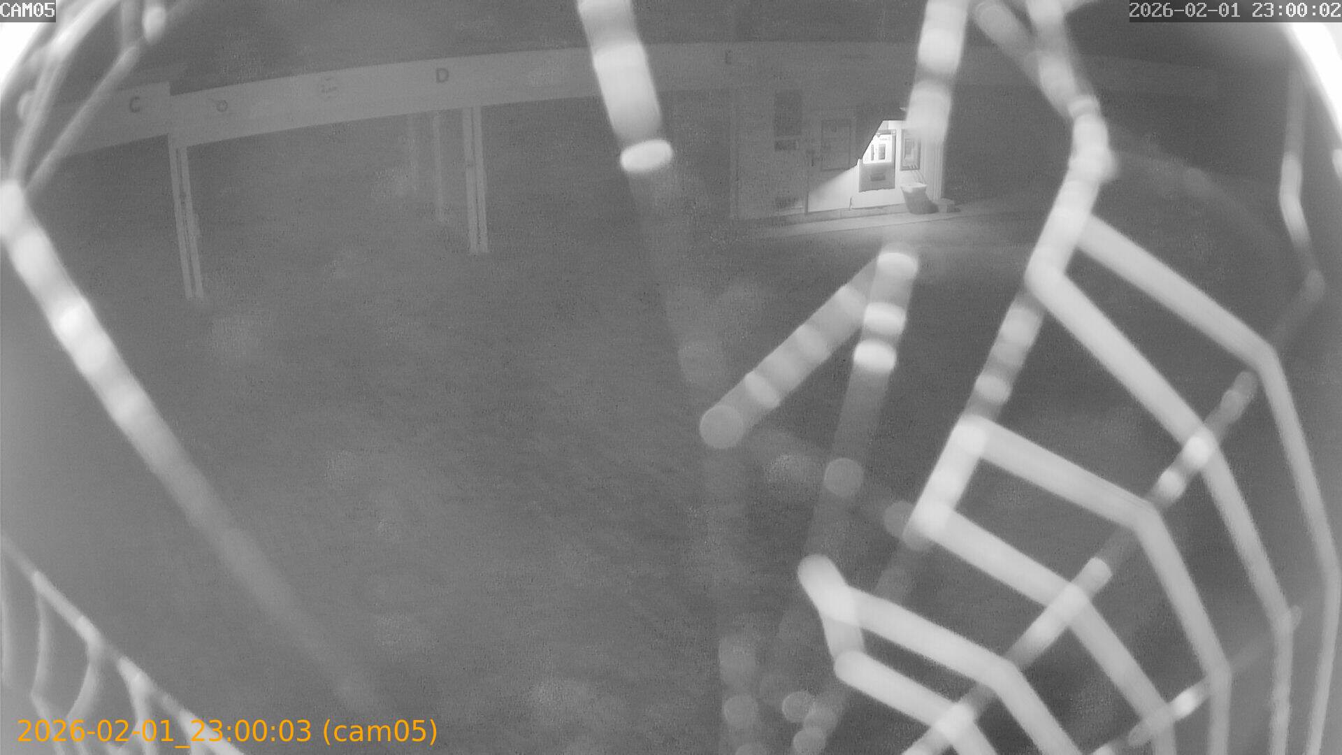 thumbnail_20260201230003