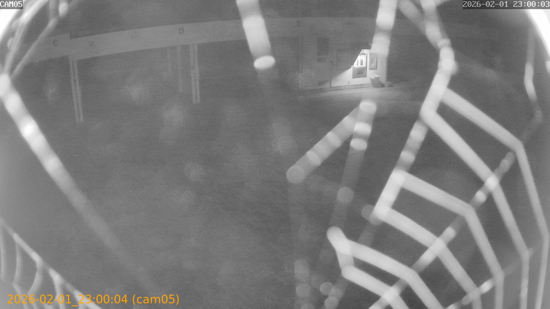 thumbnail_20260201230004