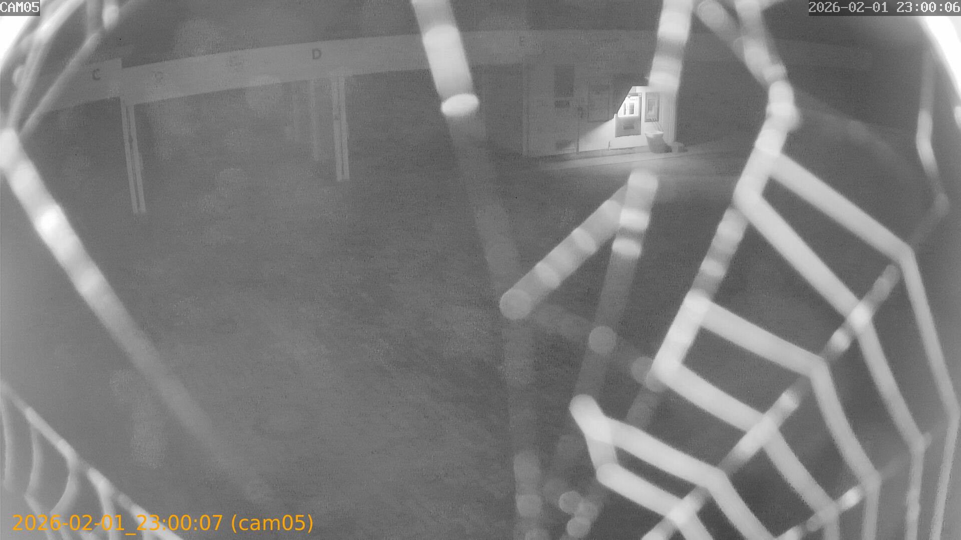 thumbnail_20260201230007