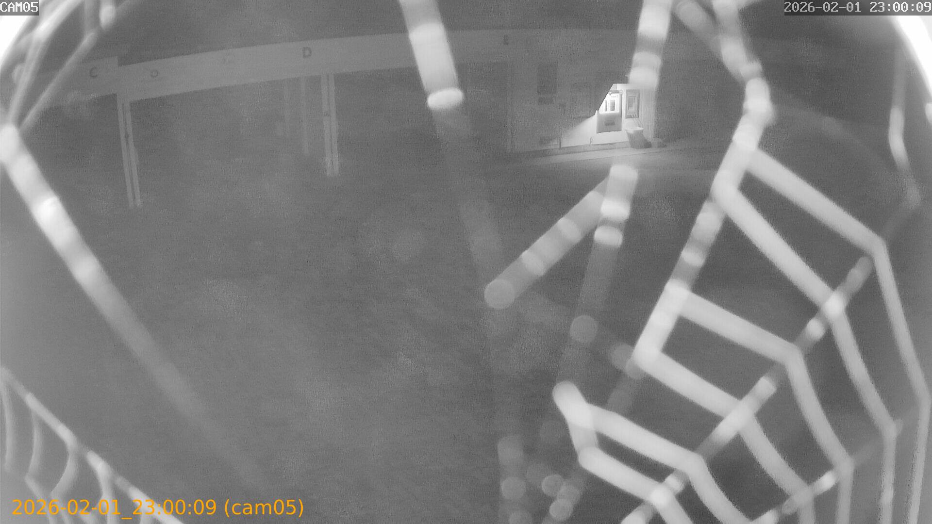 thumbnail_20260201230009