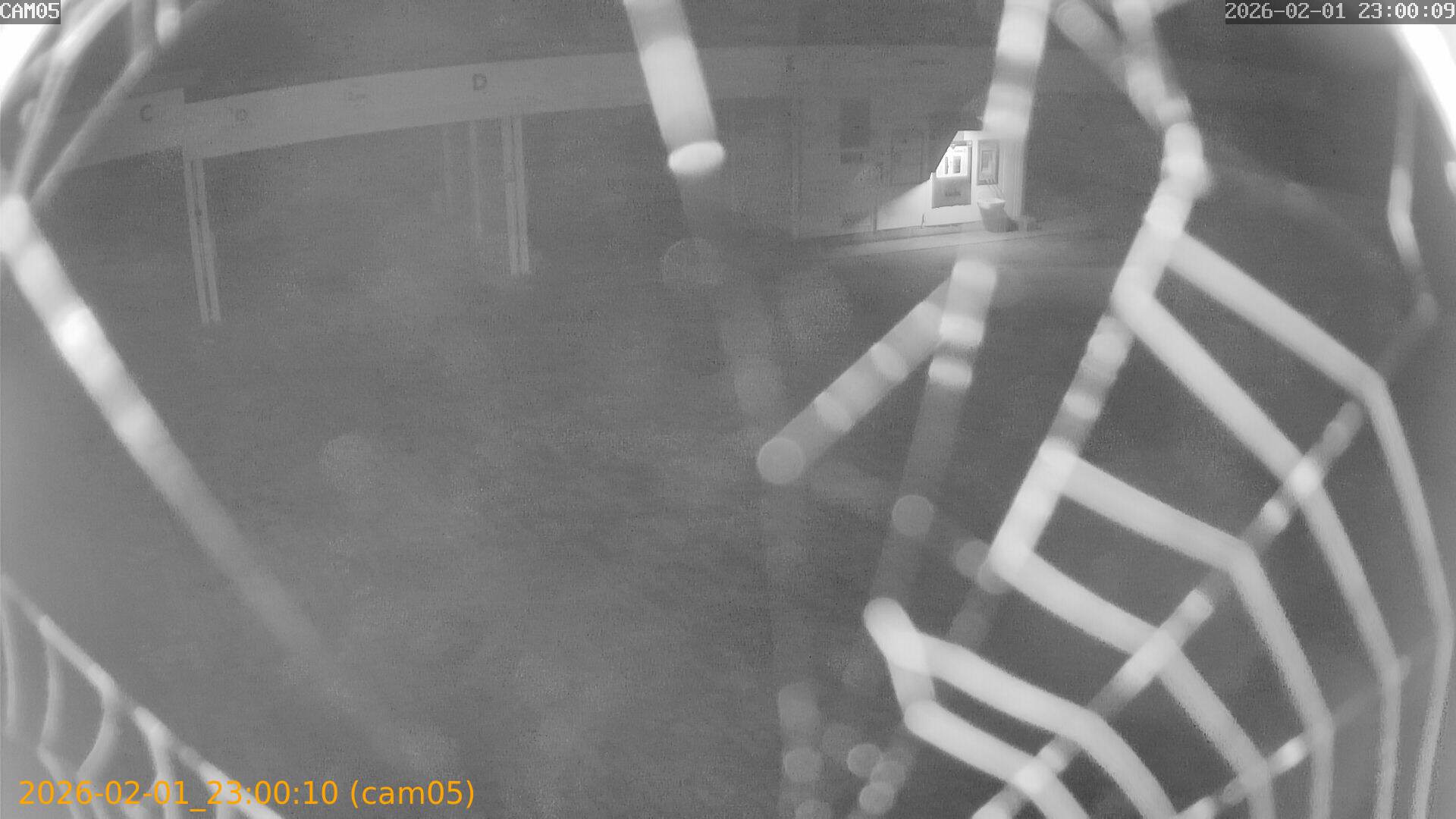 thumbnail_20260201230010