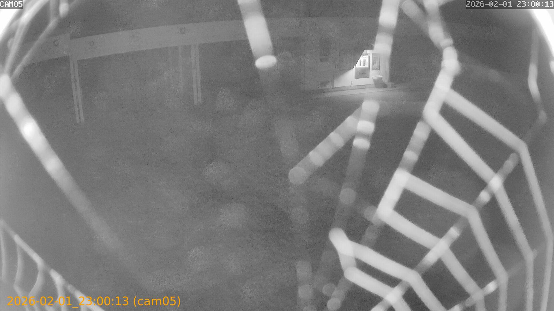 thumbnail_20260201230013