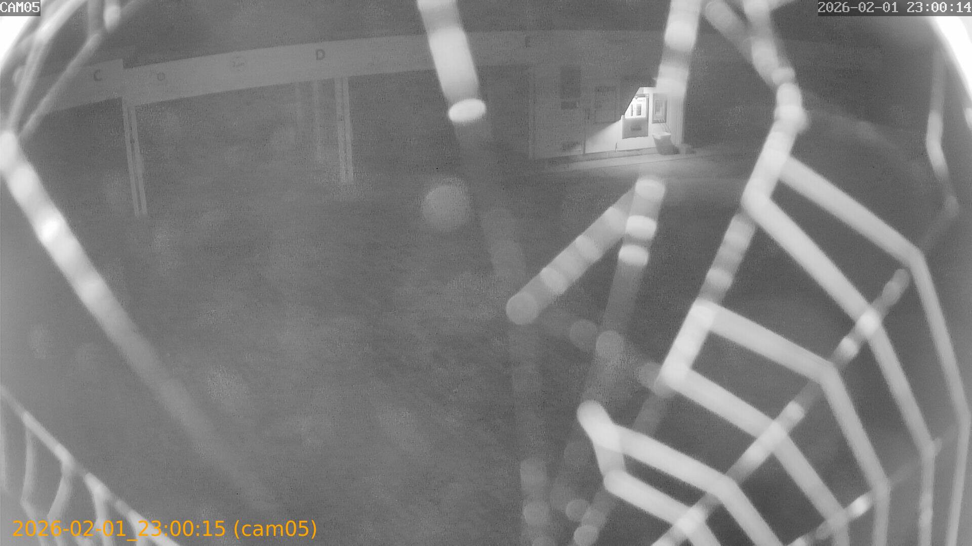 thumbnail_20260201230015