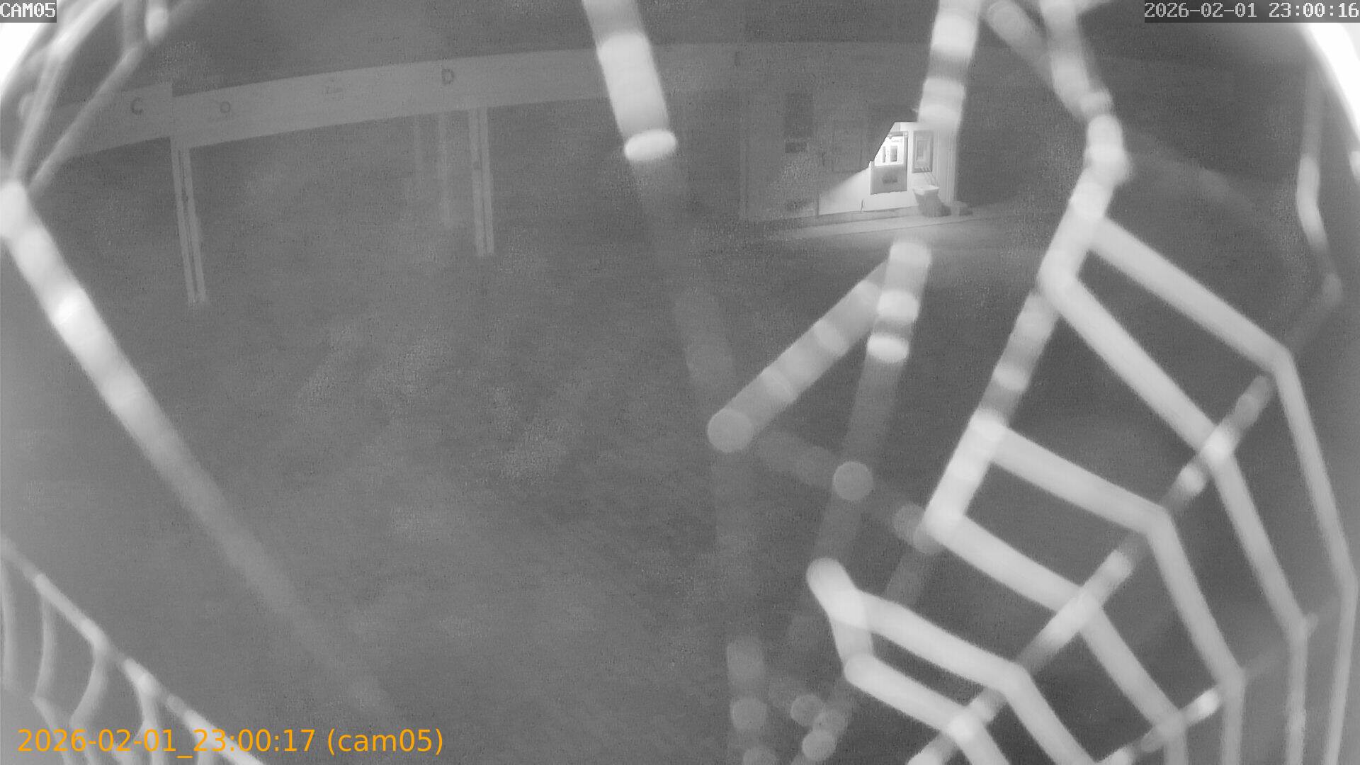 thumbnail_20260201230017