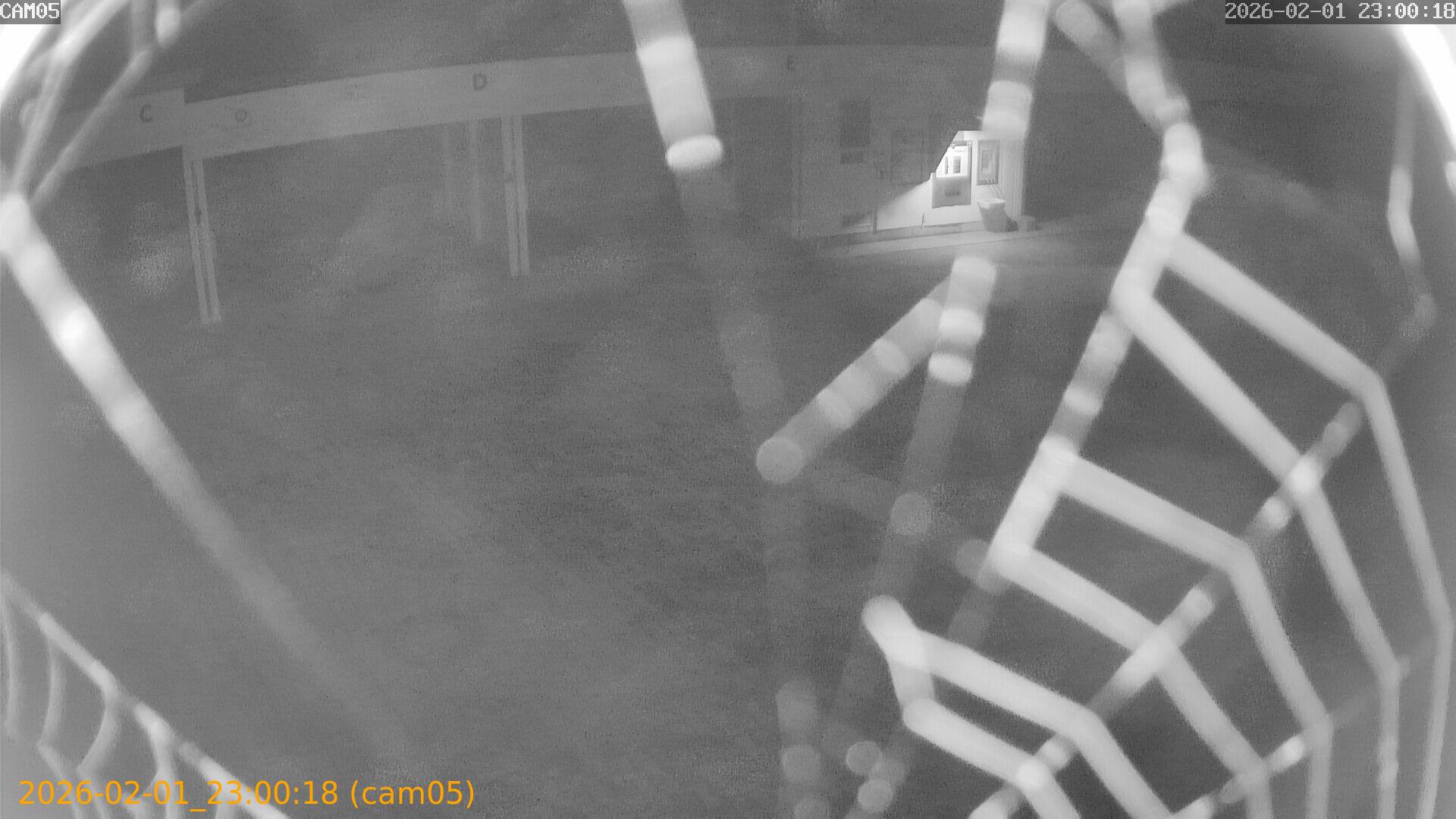 thumbnail_20260201230018