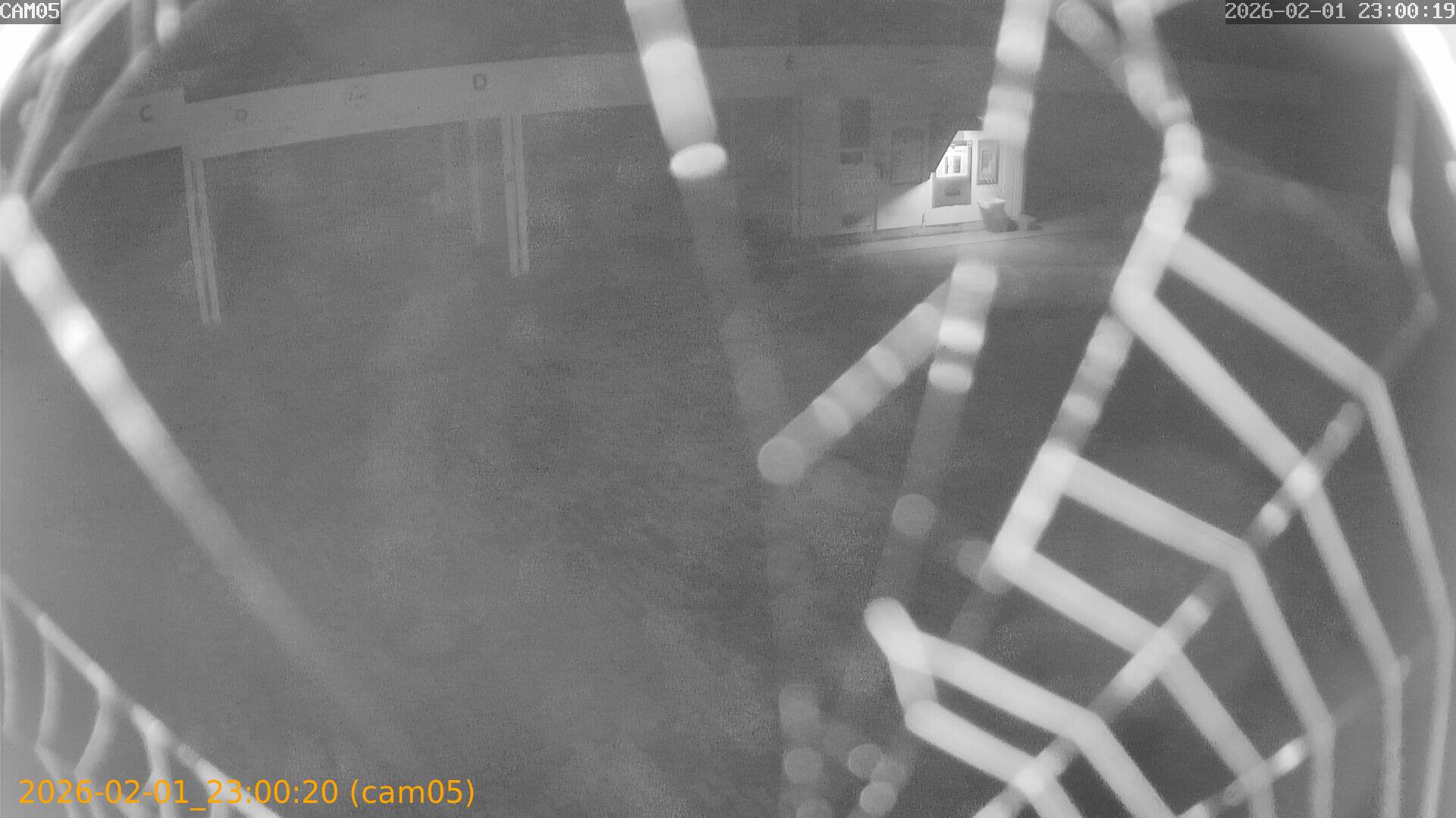 thumbnail_20260201230020