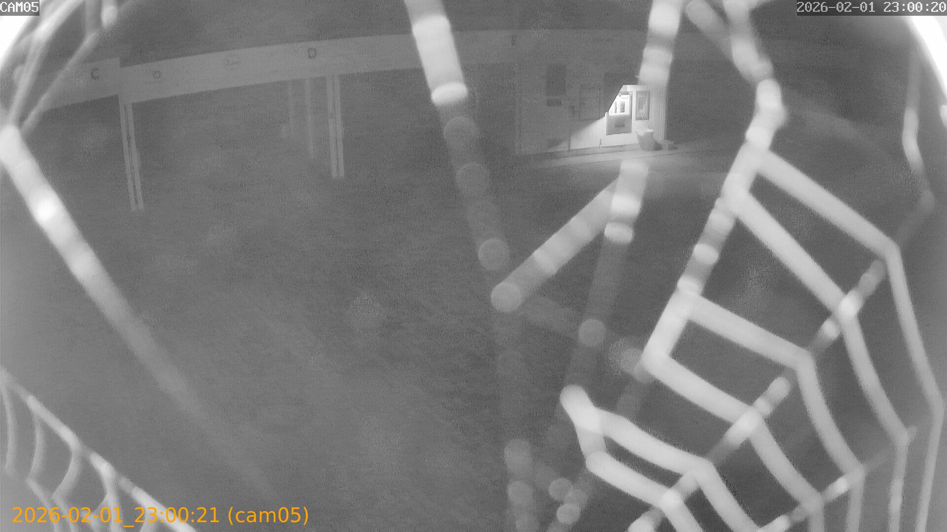 thumbnail_20260201230021