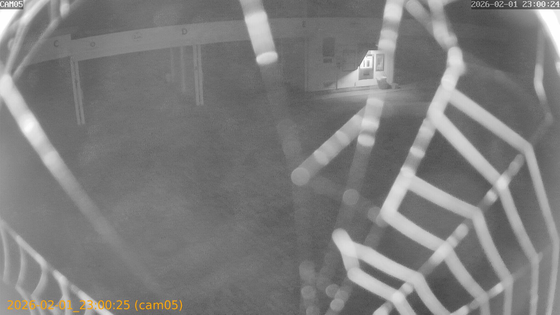 thumbnail_20260201230025