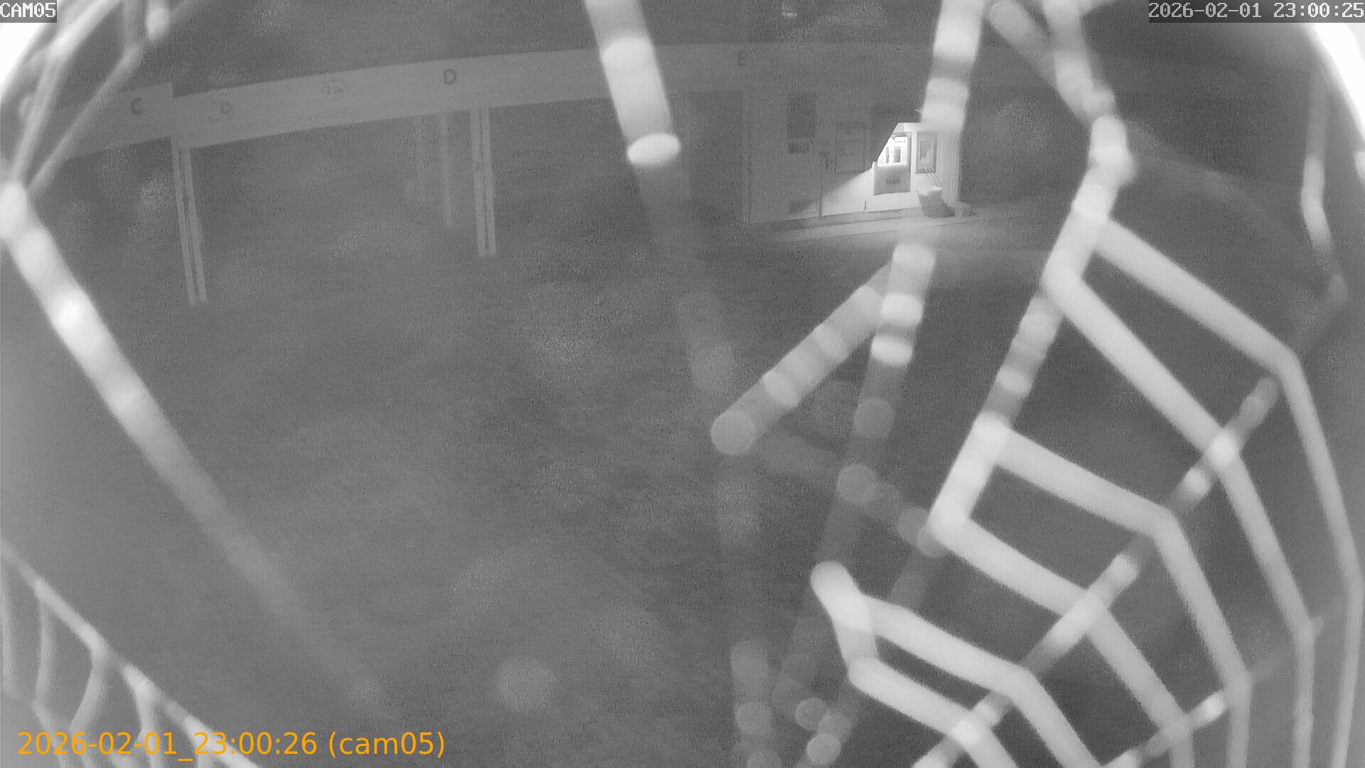 thumbnail_20260201230026