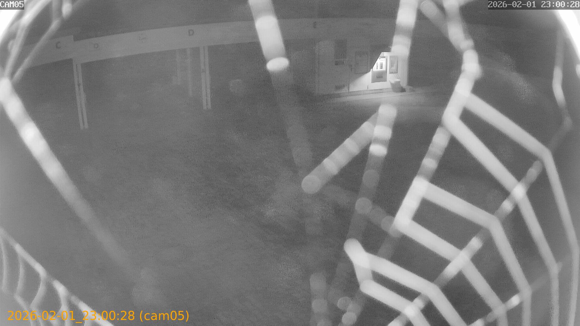 thumbnail_20260201230028