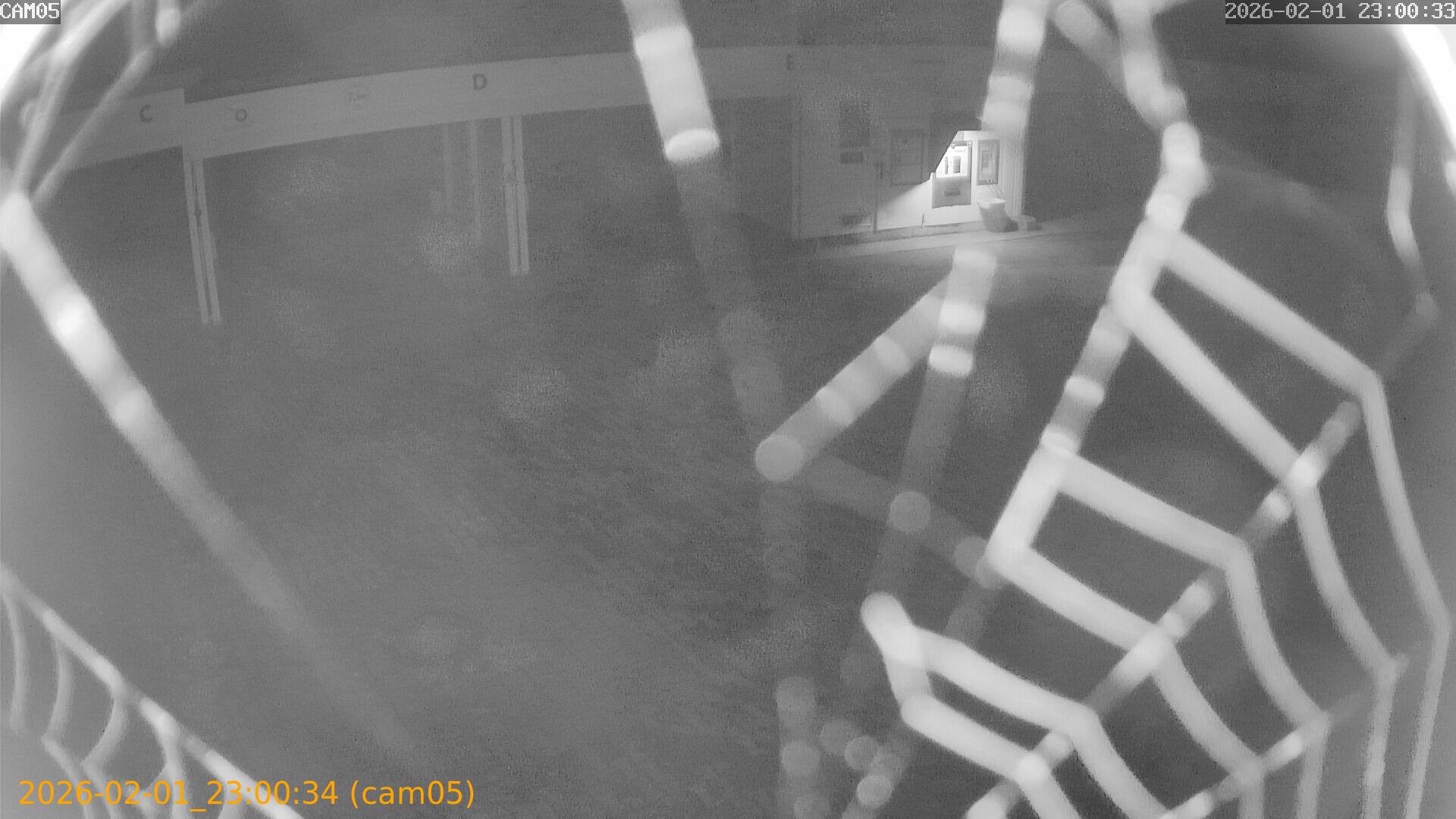 thumbnail_20260201230034