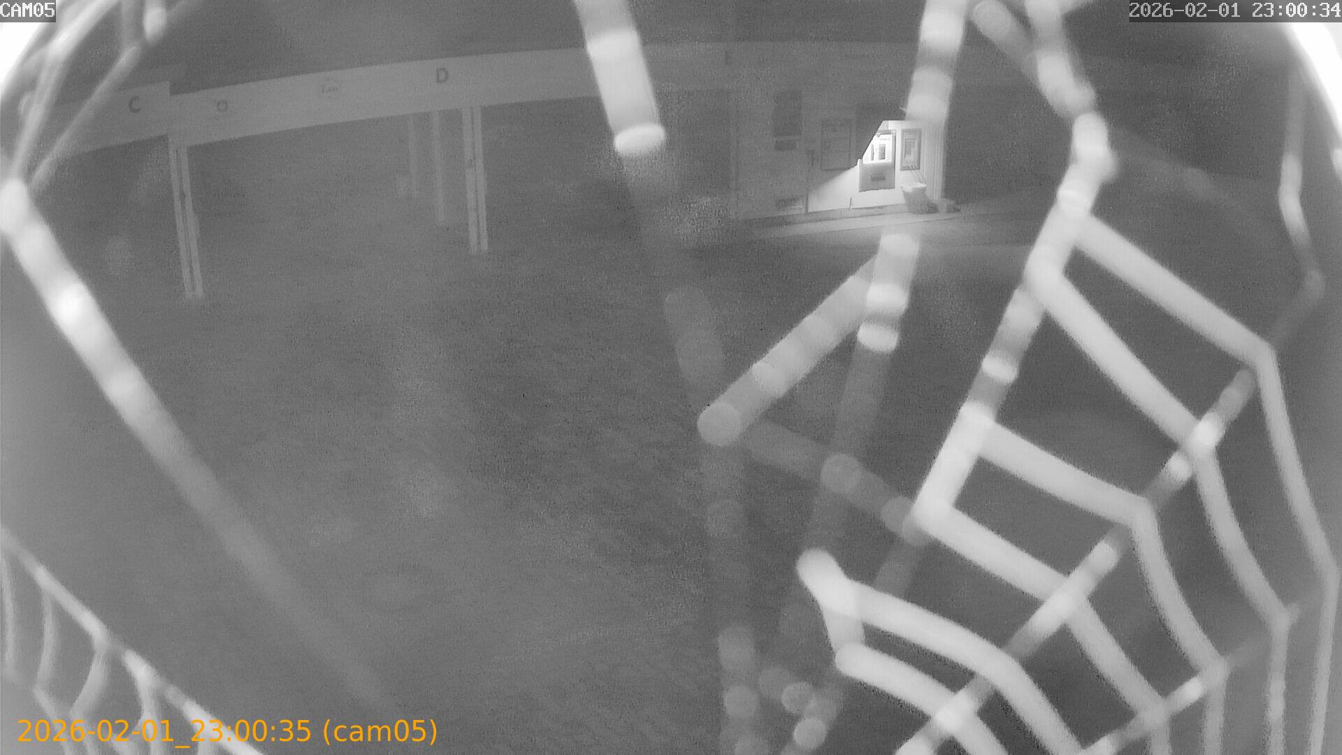 thumbnail_20260201230035