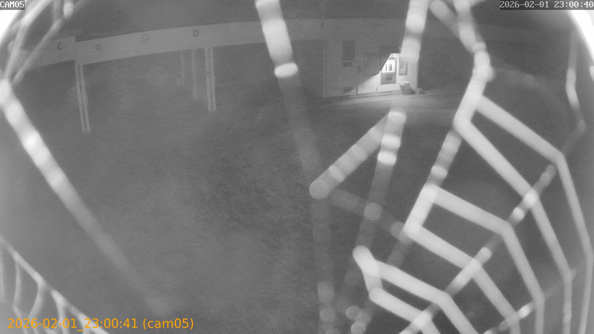 thumbnail_20260201230041