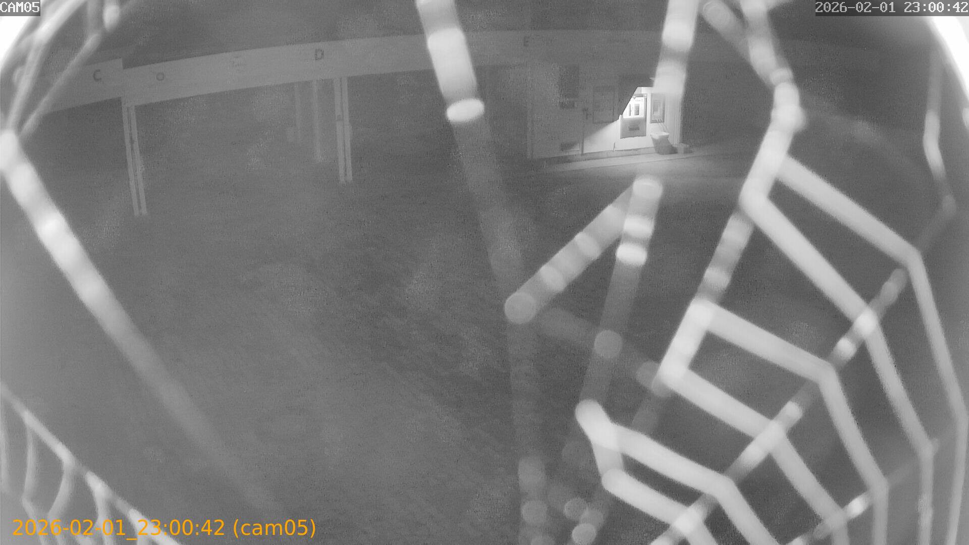 thumbnail_20260201230042