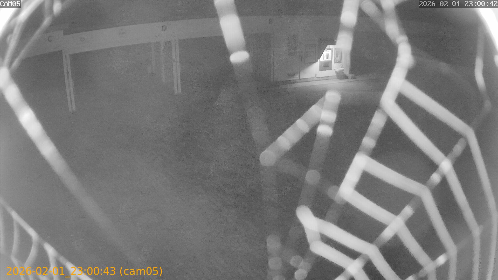 thumbnail_20260201230043