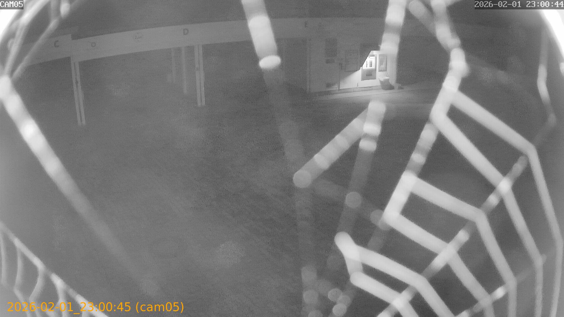 thumbnail_20260201230045