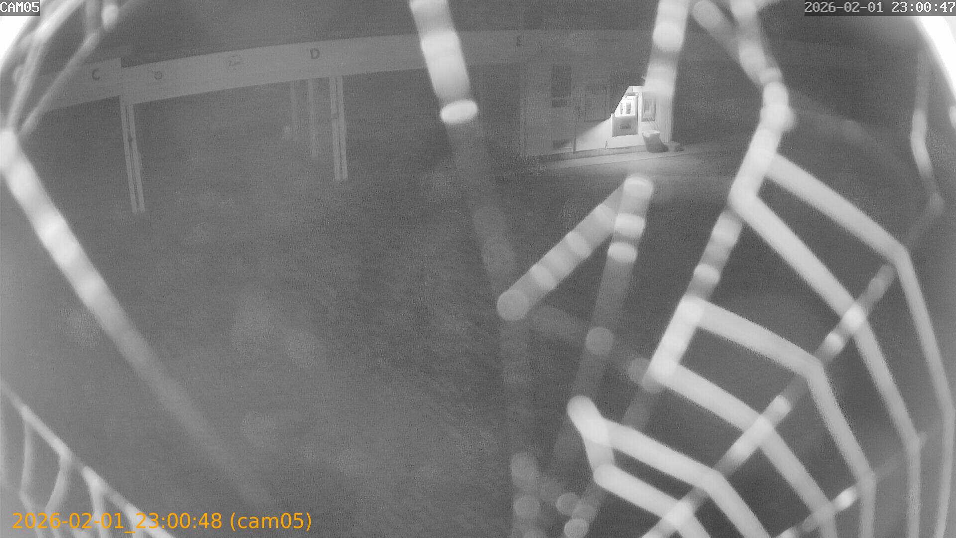 thumbnail_20260201230048