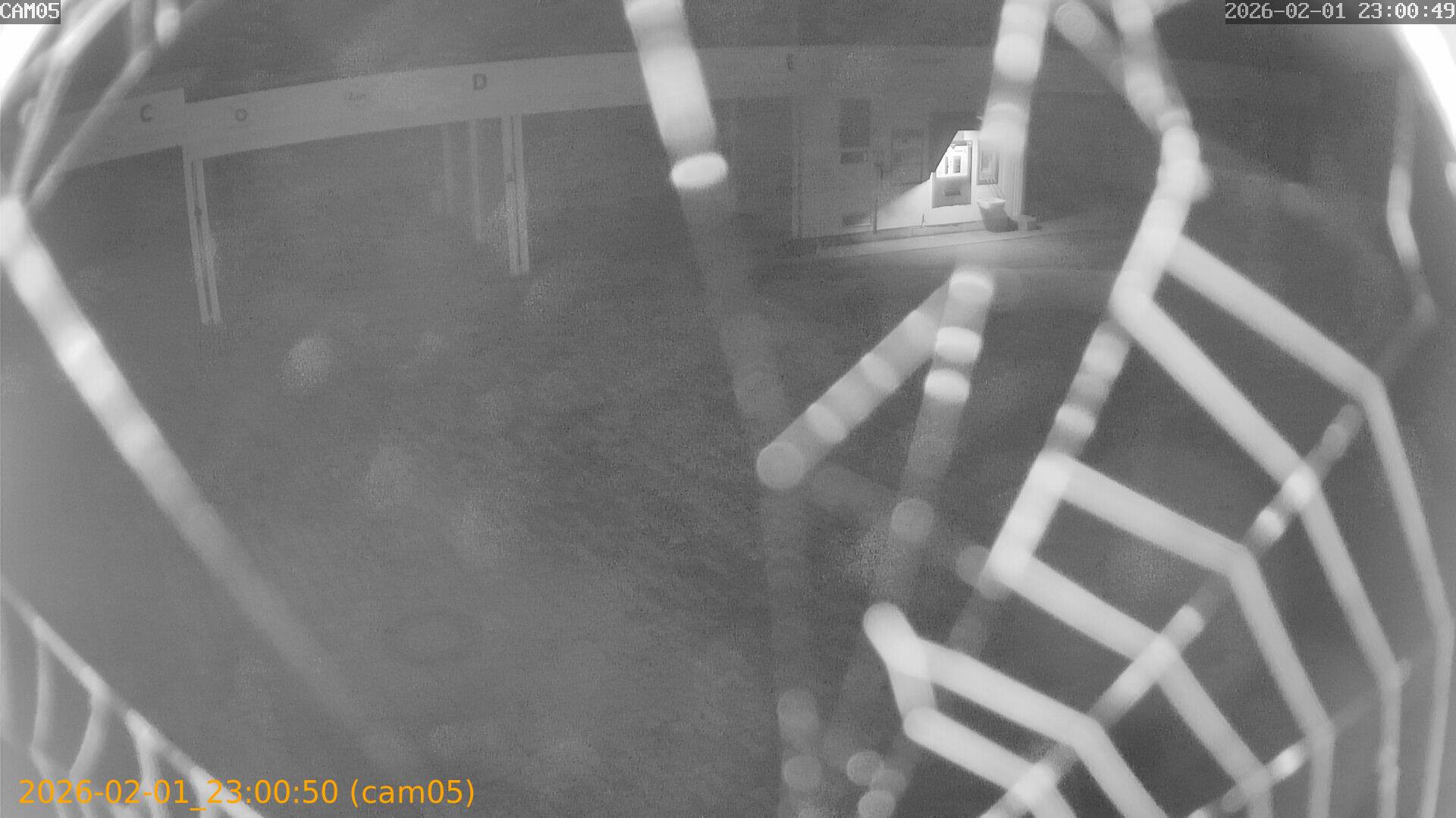 thumbnail_20260201230050