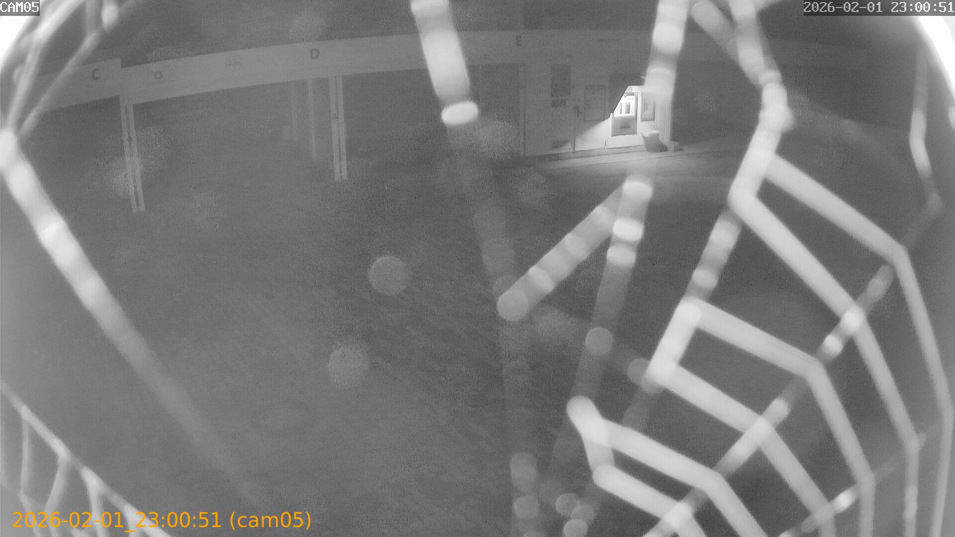 thumbnail_20260201230051