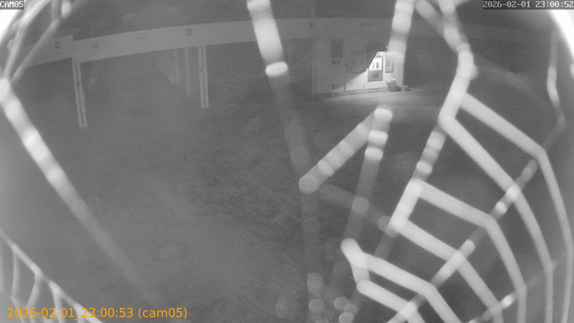 thumbnail_20260201230053