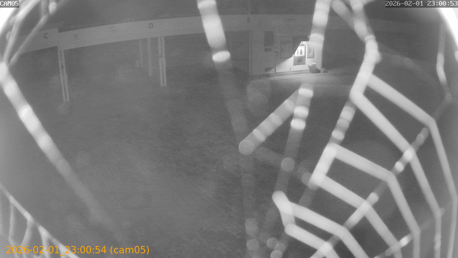 thumbnail_20260201230054