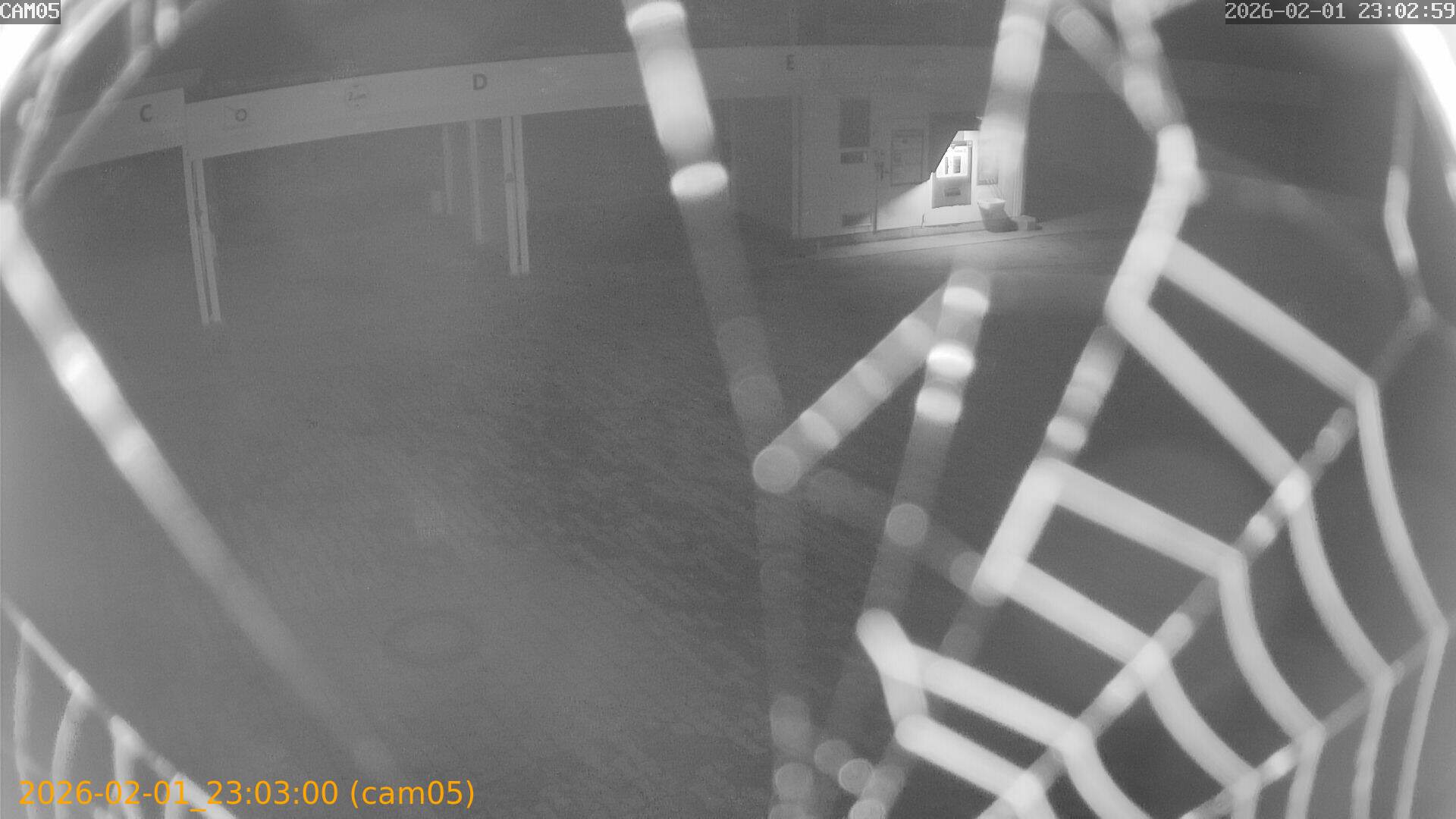 thumbnail_20260201230300