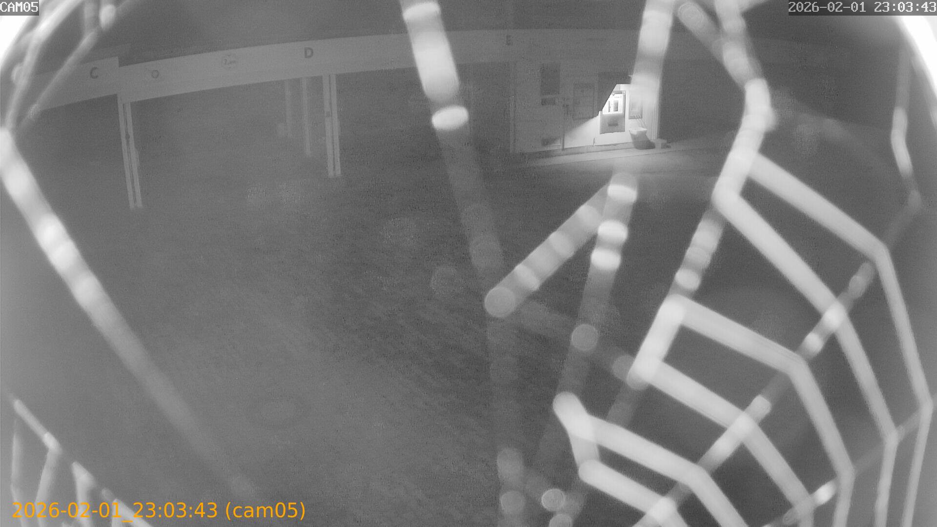 thumbnail_20260201230343