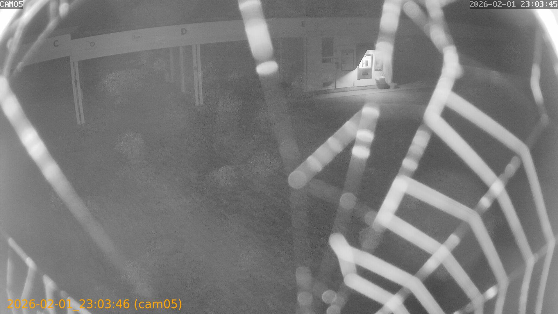 thumbnail_20260201230346