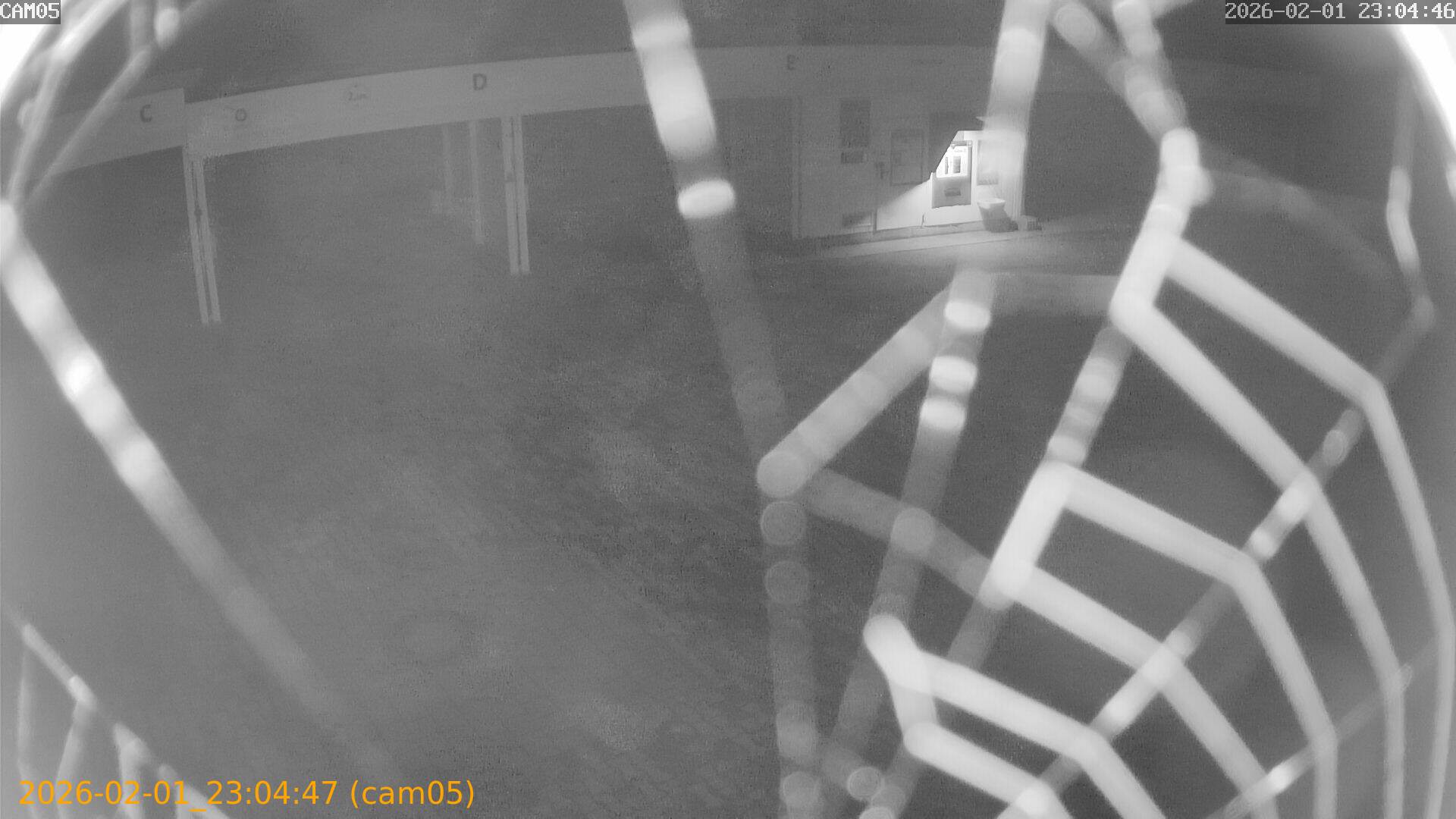 thumbnail_20260201230447