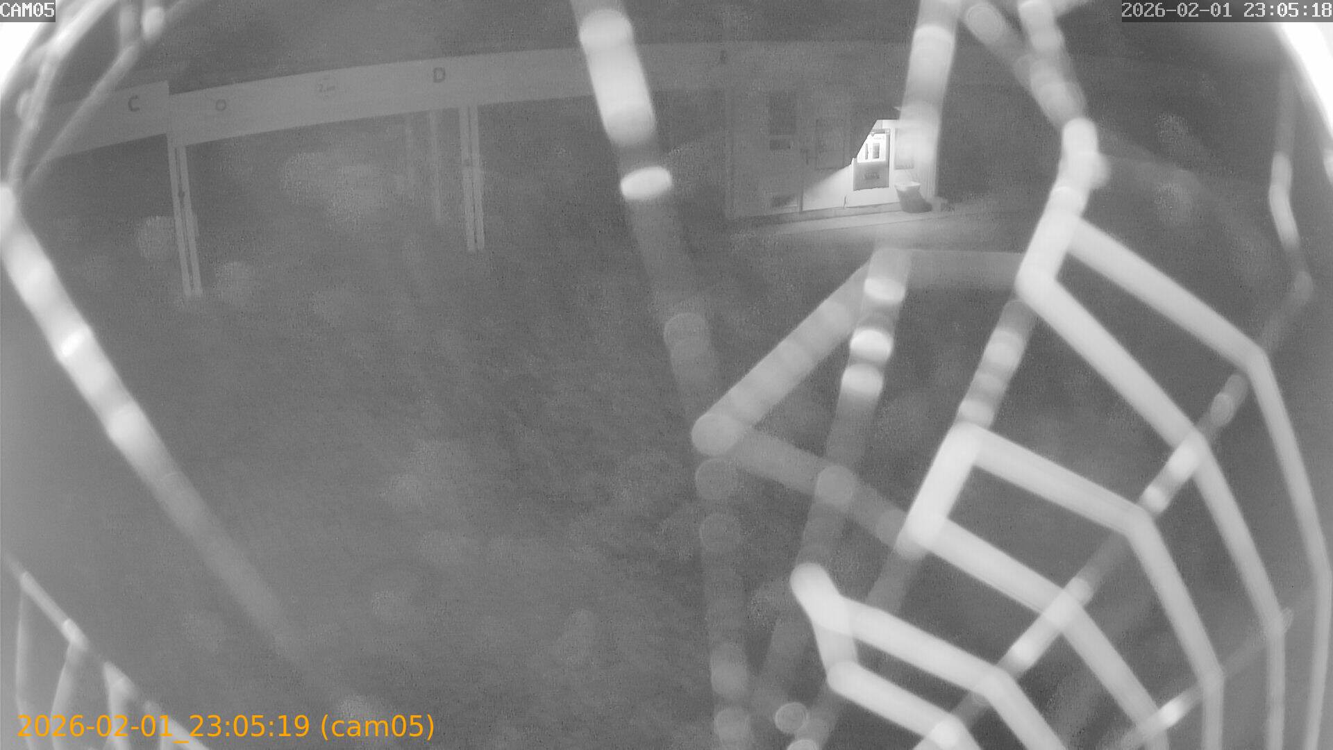 thumbnail_20260201230519