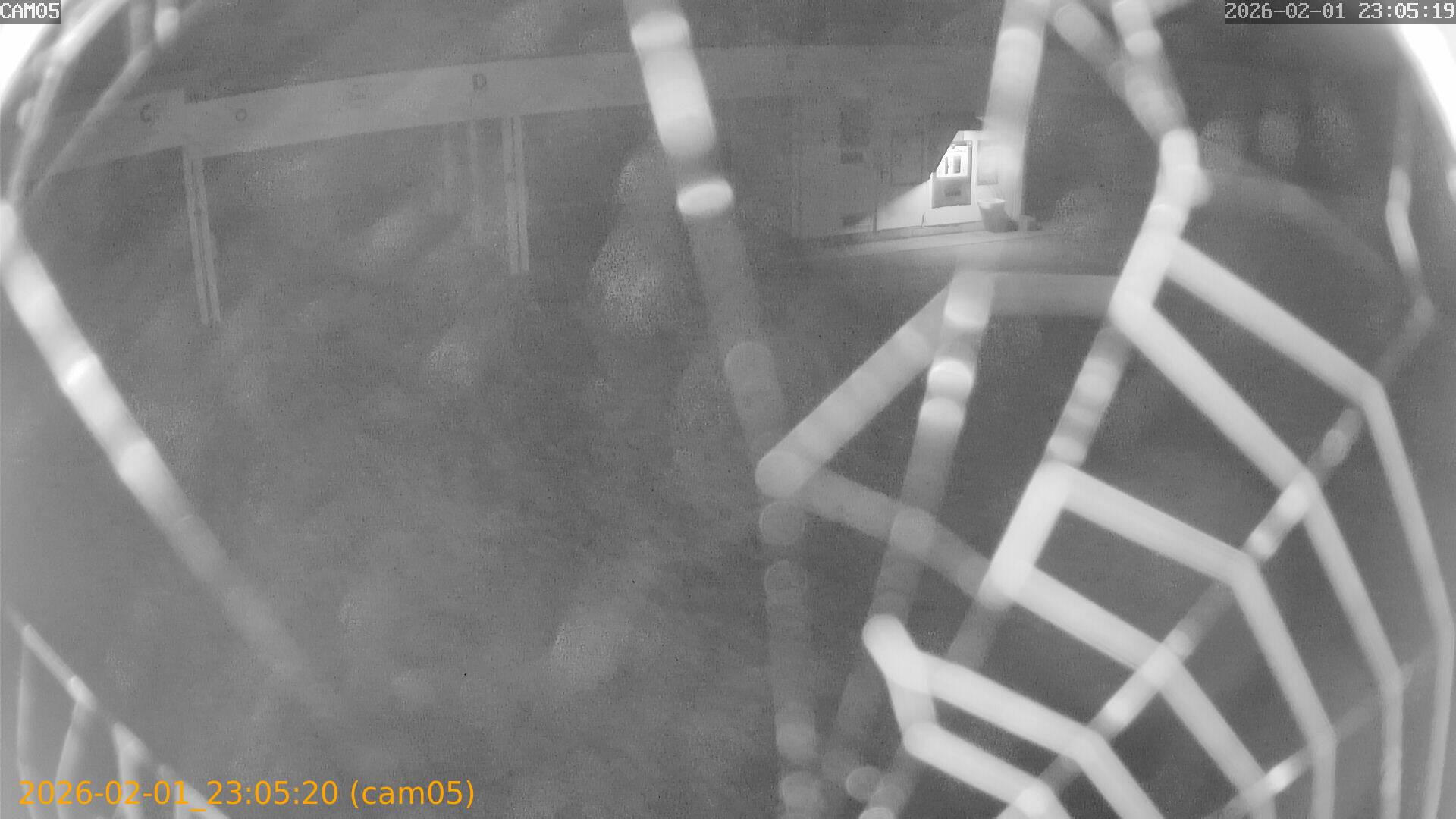 thumbnail_20260201230520