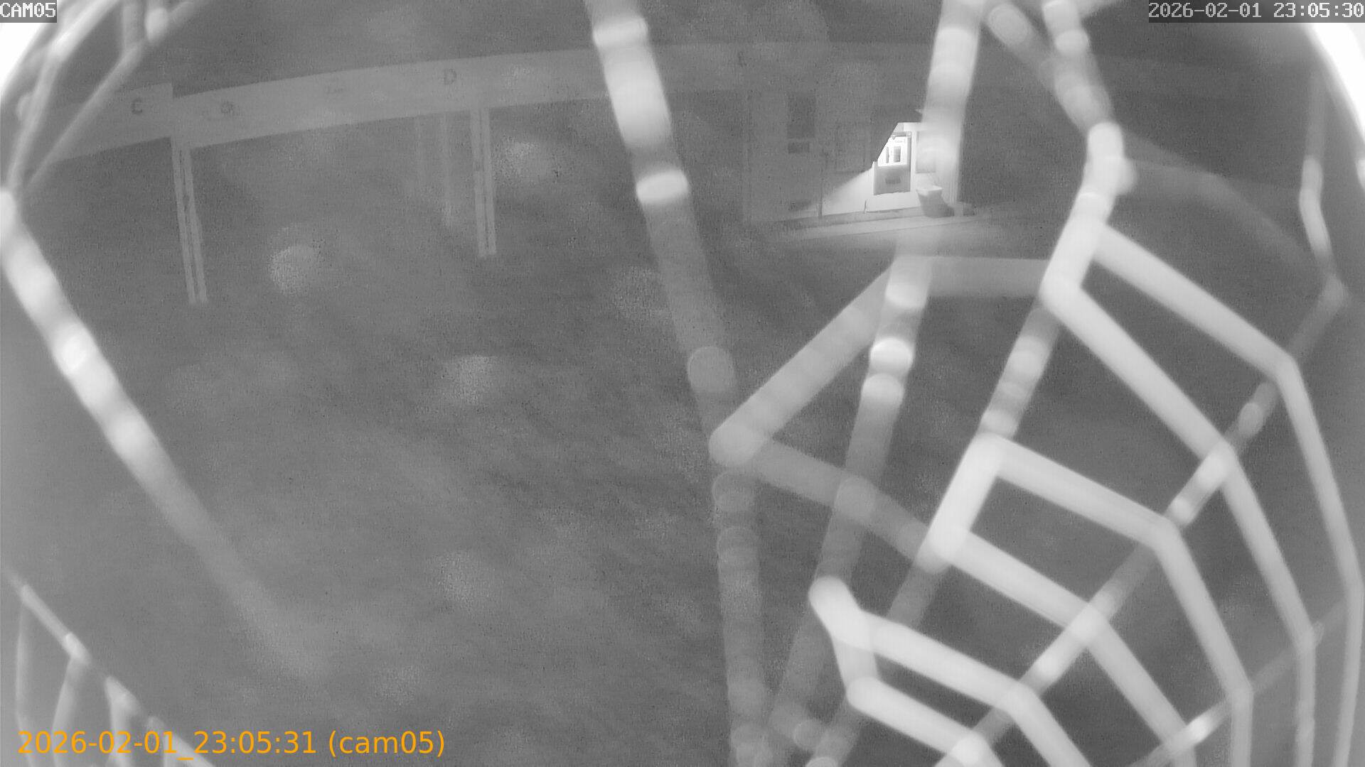 thumbnail_20260201230531