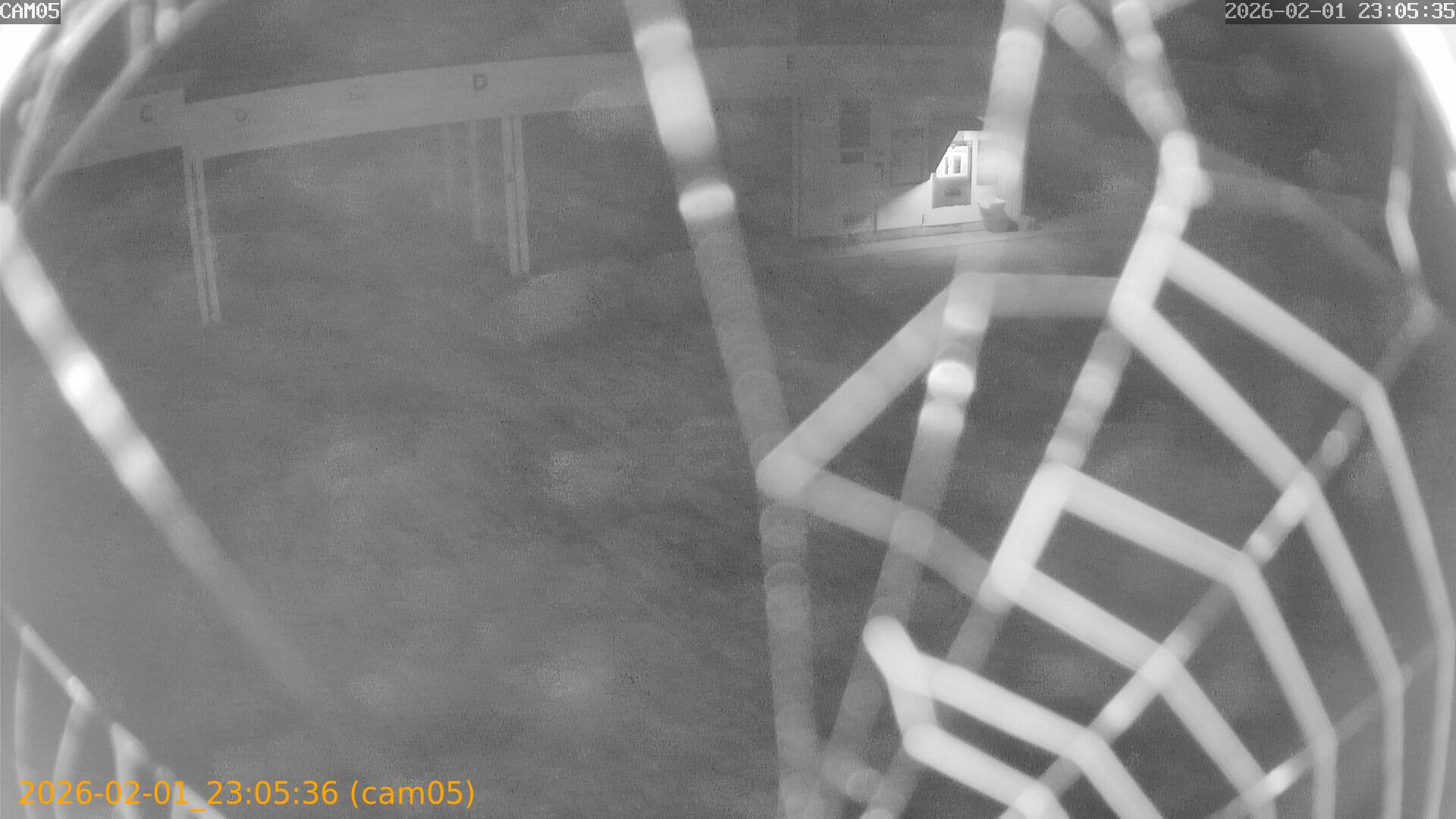 thumbnail_20260201230536