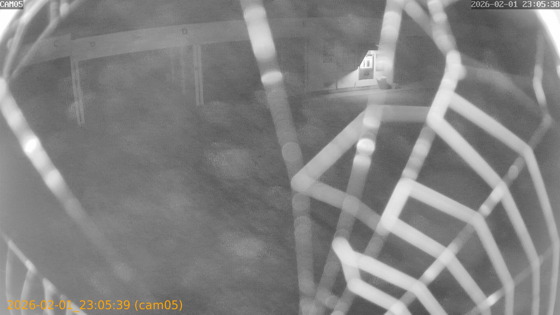 thumbnail_20260201230539