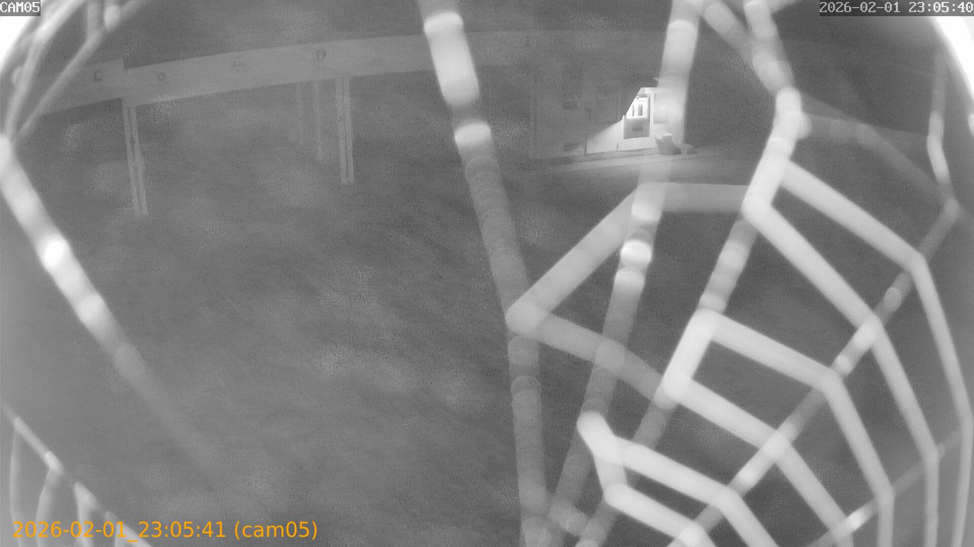 thumbnail_20260201230541