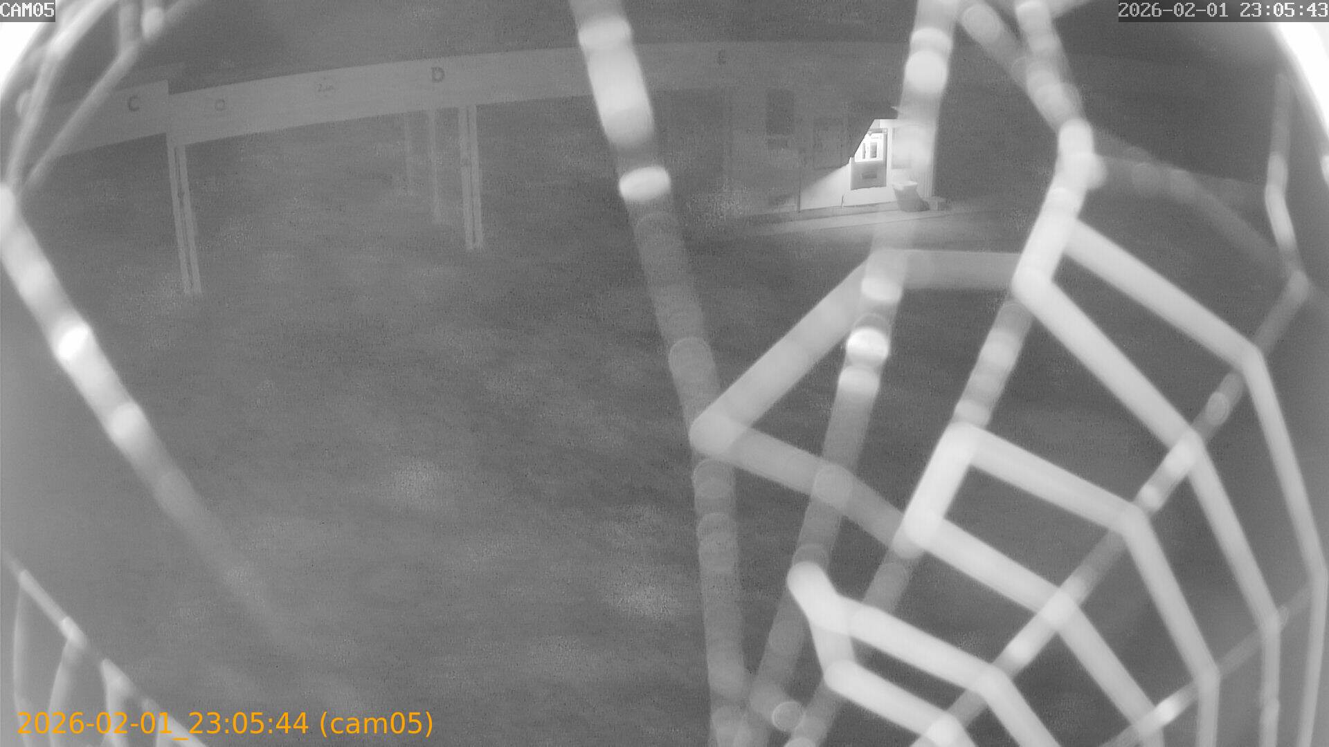 thumbnail_20260201230544