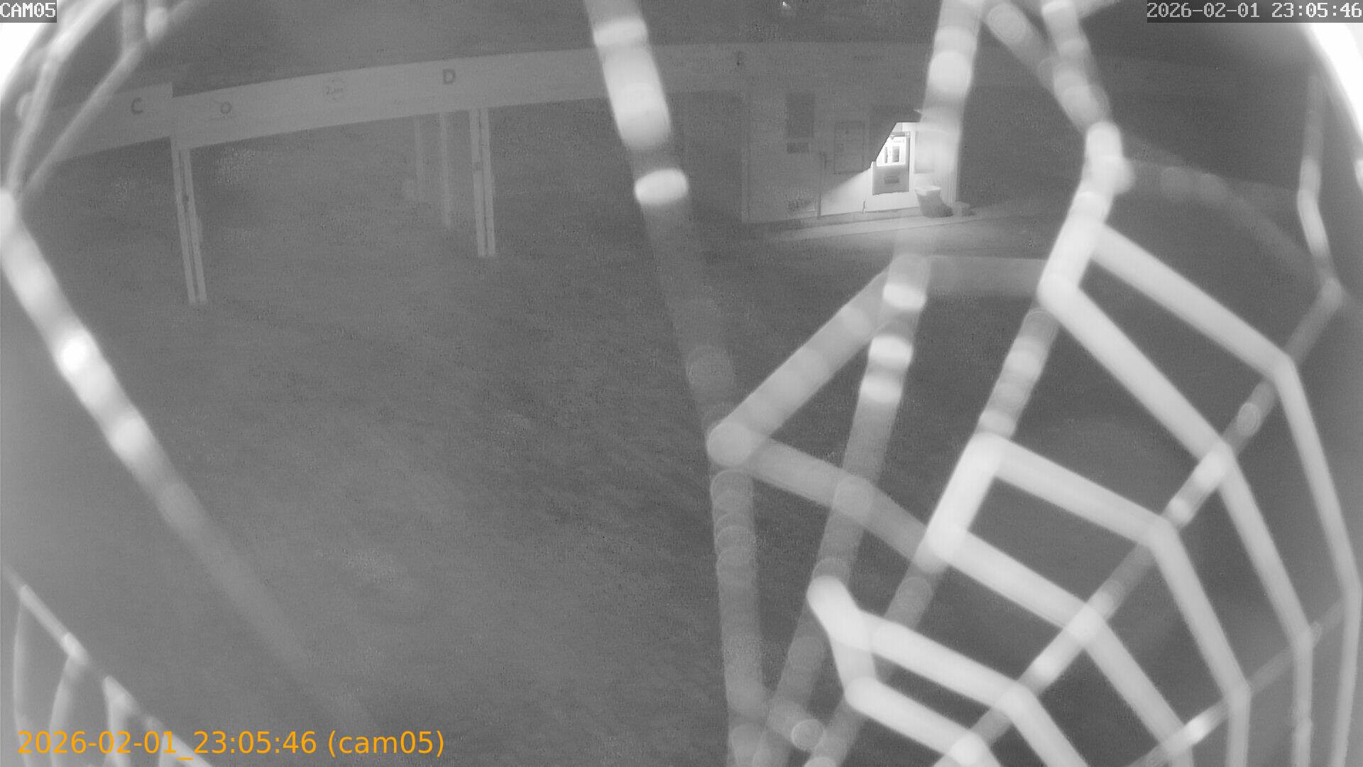 thumbnail_20260201230546