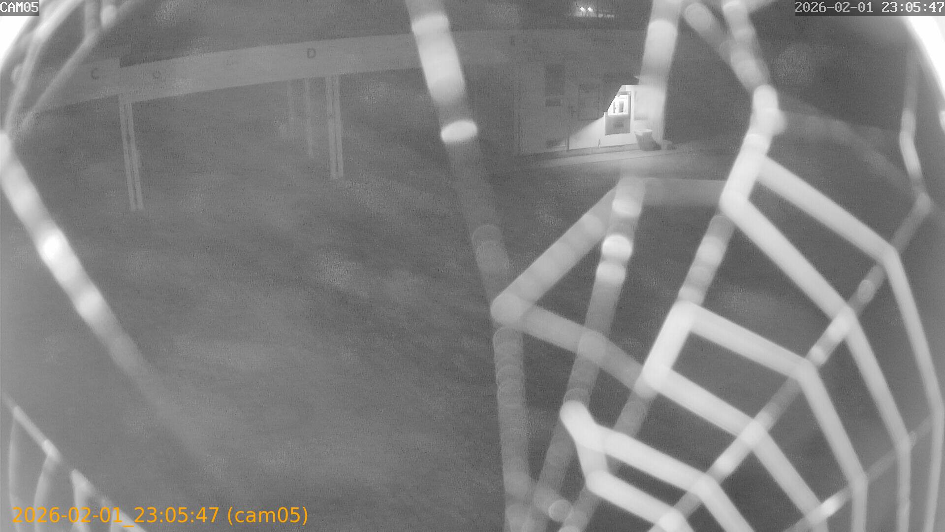 thumbnail_20260201230547