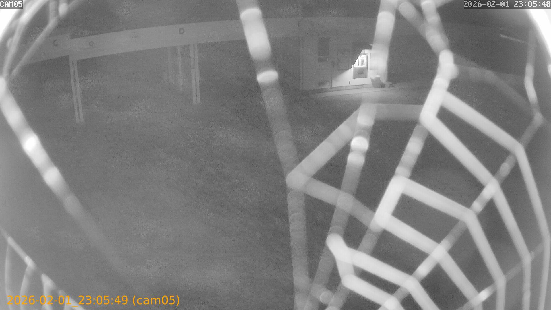 thumbnail_20260201230549