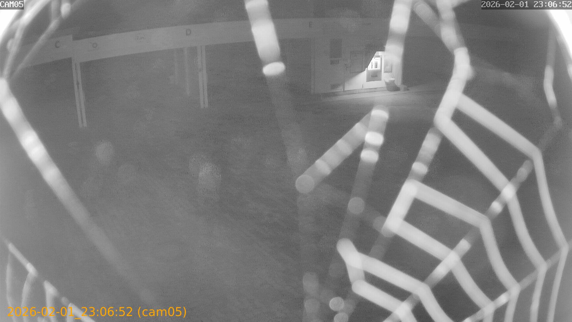 thumbnail_20260201230652