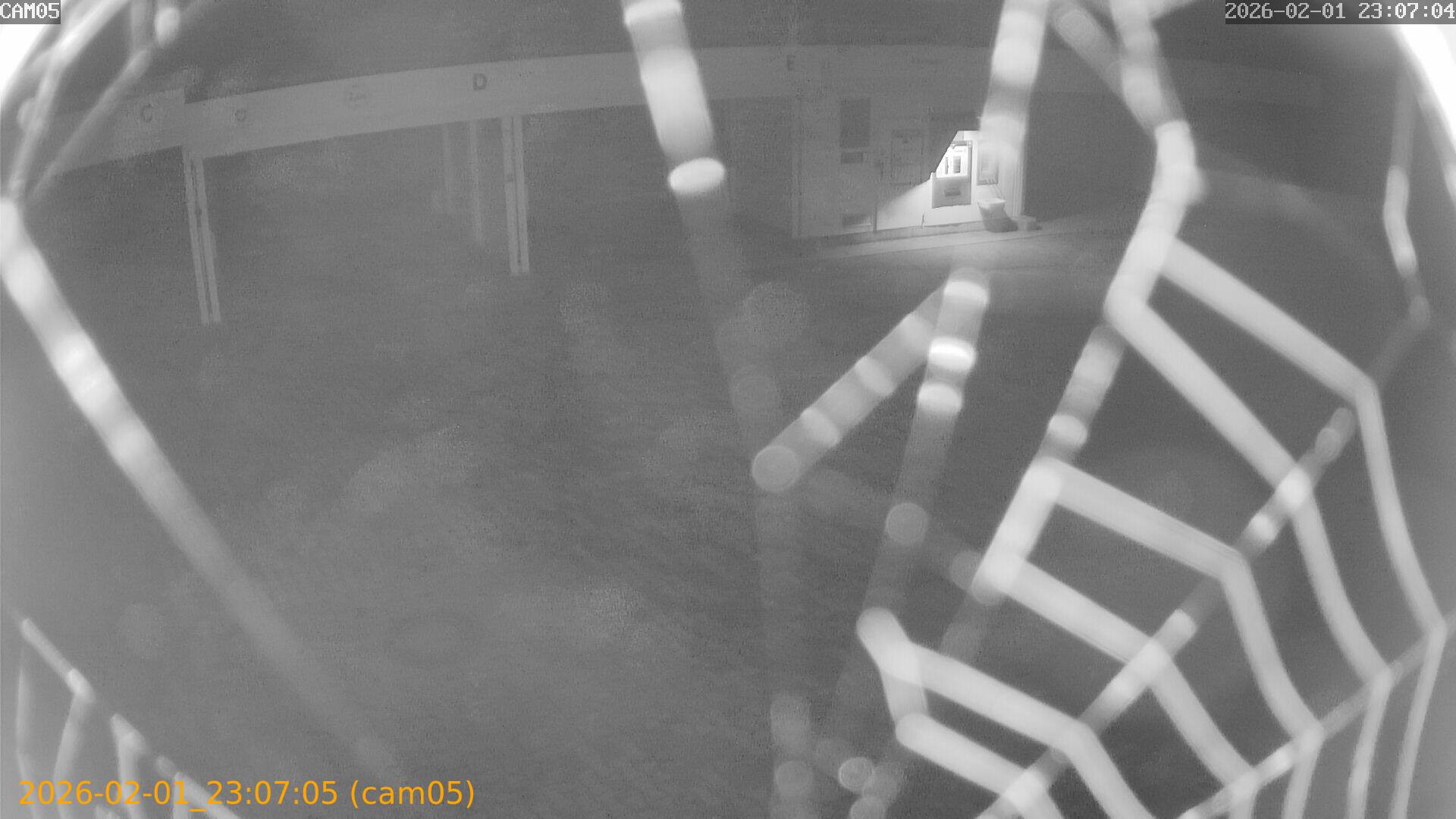 thumbnail_20260201230705