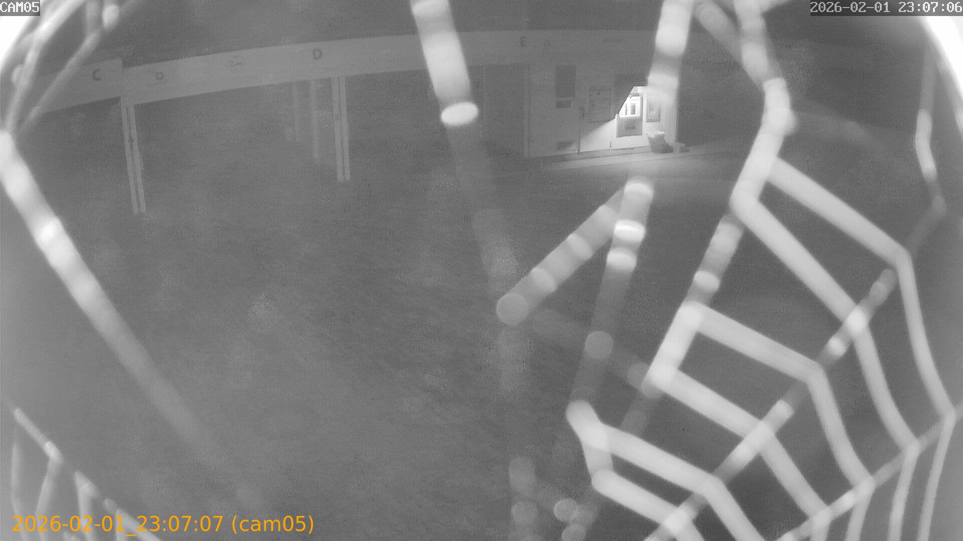 thumbnail_20260201230707