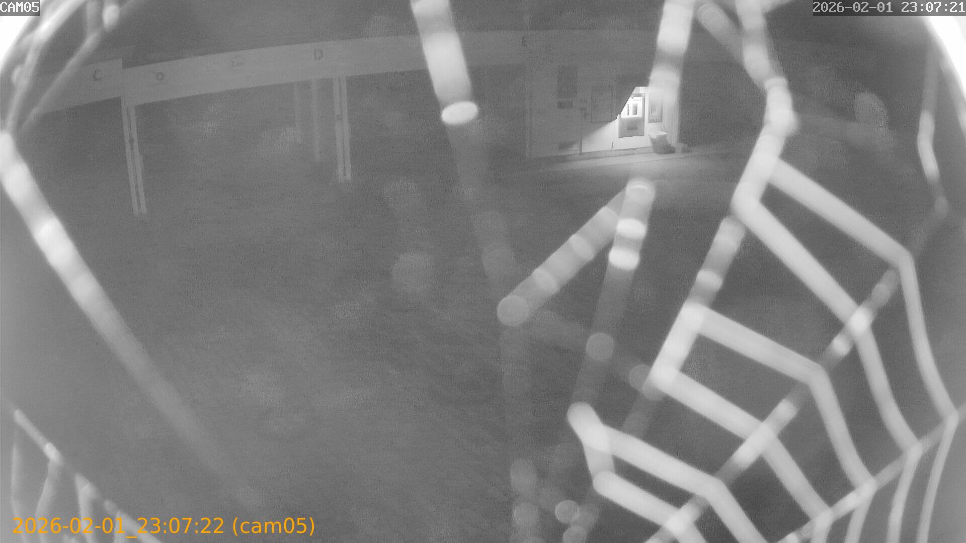 thumbnail_20260201230722