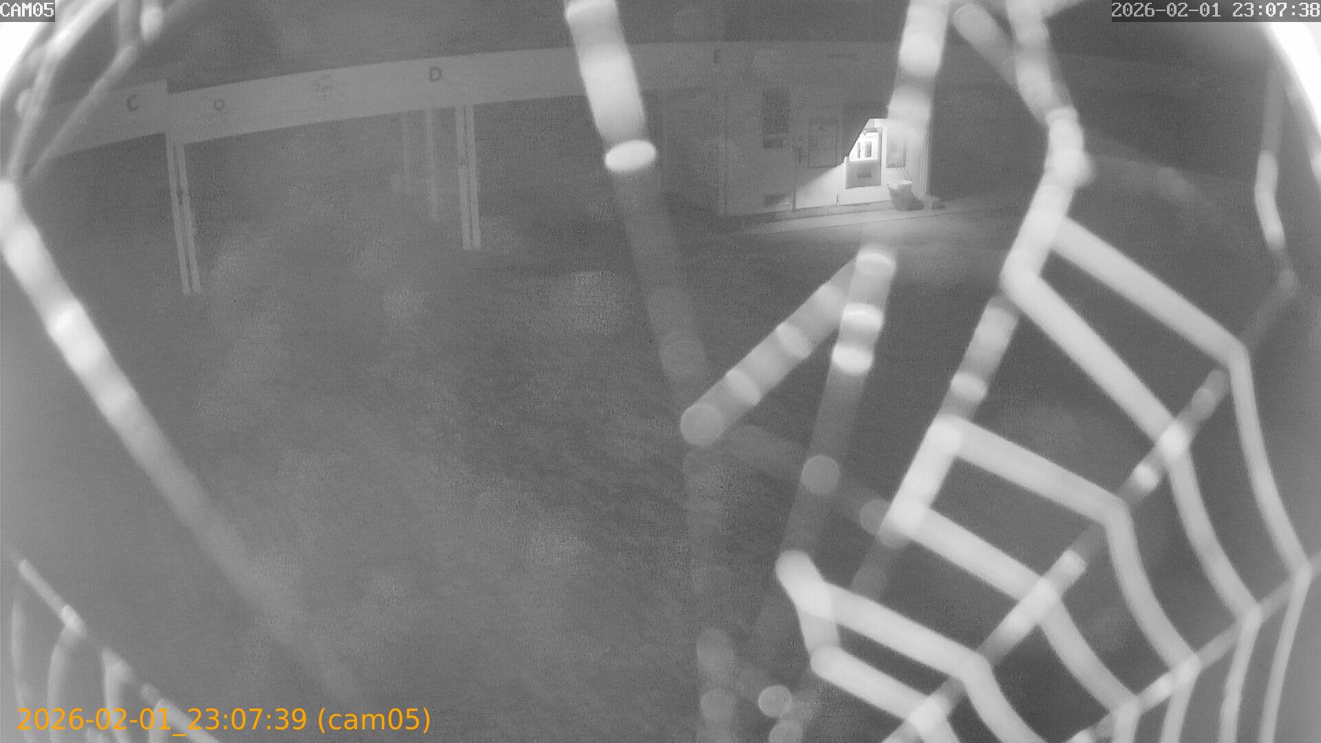 thumbnail_20260201230739