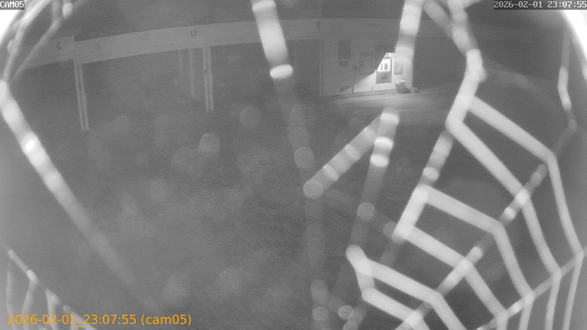 thumbnail_20260201230755