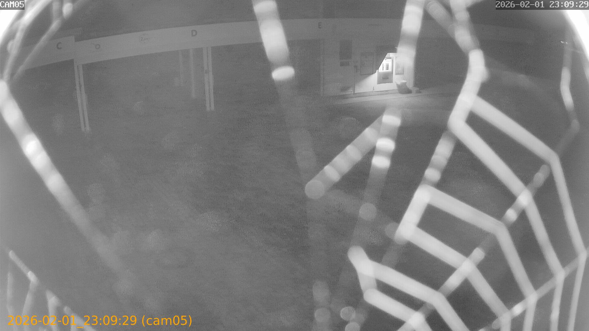 thumbnail_20260201230929