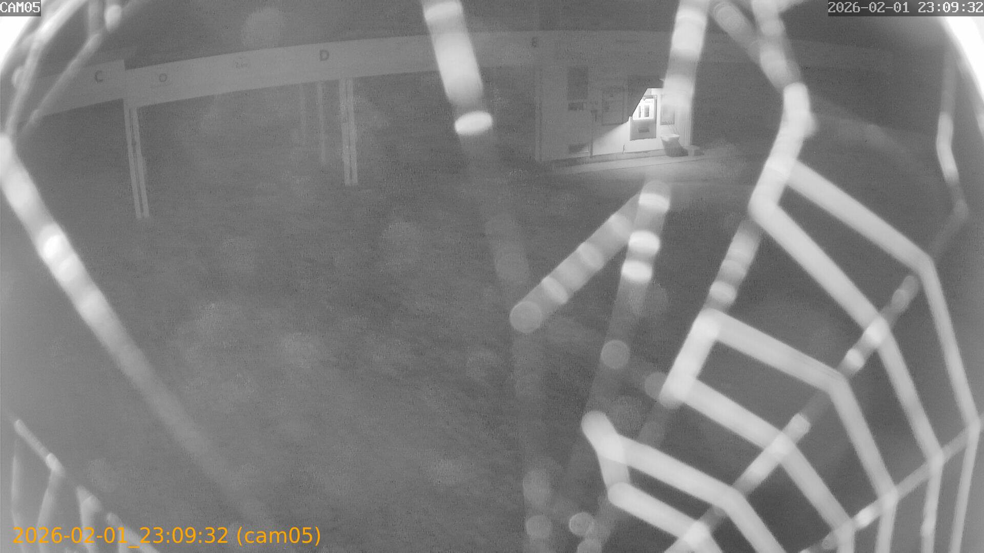 thumbnail_20260201230932